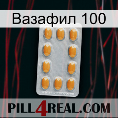 Вазафил 100 cialis3